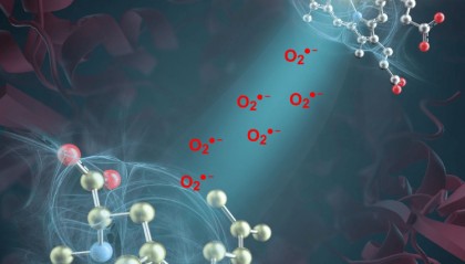 突破性进展！我国科学家发现活性氧超氧阴离子是药物分子合成催化剂