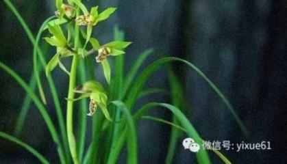 罗盘基础知识详解（收藏）