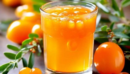 国内认证的最好的沙棘原浆，揭秘国内认证的最好的沙棘原浆！