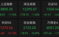 午后突发，605303跌停！融资余额逼近历史峰值，低市盈率+绩优+杠杆资金加仓股揭晓