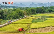 【央视快评】努力建设宜居宜业和美乡村 共同奔向中国式现代化的美好未来