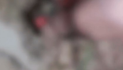 官方通报“成都4名初中生组团虐猫”：对涉事学生批评教育，停课反省