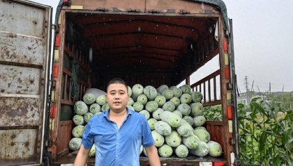 丁鼎：“戎装”换“农装” 逐梦共富路