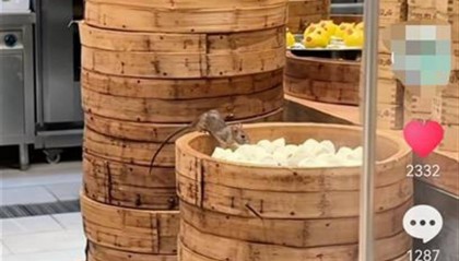 广州老牌茶楼陶陶居总店有老鼠啃食点心，店方：食物已全部销毁，做了消杀