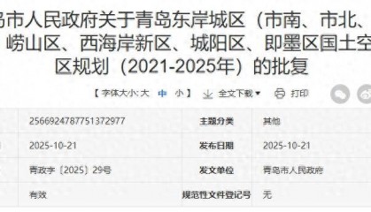 青岛市人民政府最新批复：原则同意！