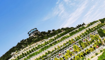 介绍一下国内著名的陵园