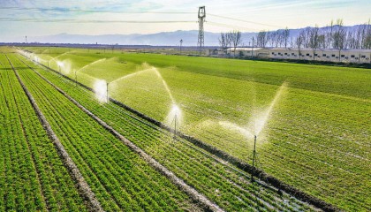 红星观察丨中央一号文件强调两个“不允许”，背后有何考量？