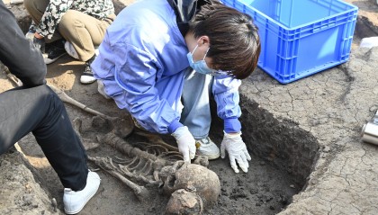 河南贾湖遗址发现中国最早木棺