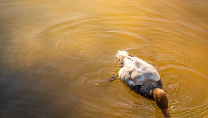 场外期权怎么交易？个股期权有哪些交易策略？