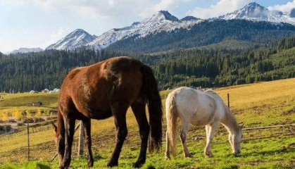国内此生必看的秋景TOP5