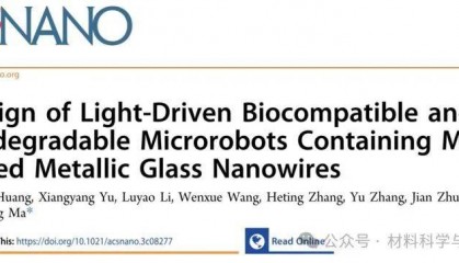 深圳大学《ACS Nano》：基于镁基金属玻璃纳米线的微型光驱动机器人