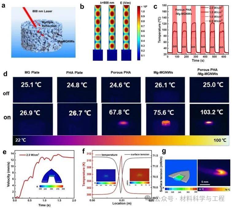 深圳大学《ACS Nano》：基于镁基金属玻璃纳米线的微型光驱动机器人