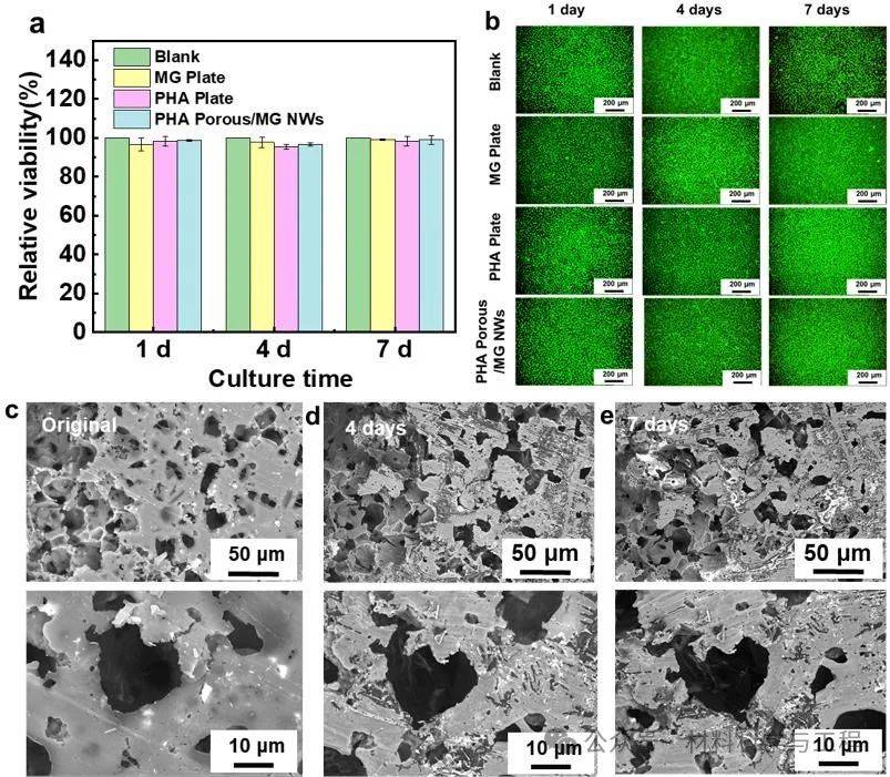 深圳大学《ACS Nano》：基于镁基金属玻璃纳米线的微型光驱动机器人
