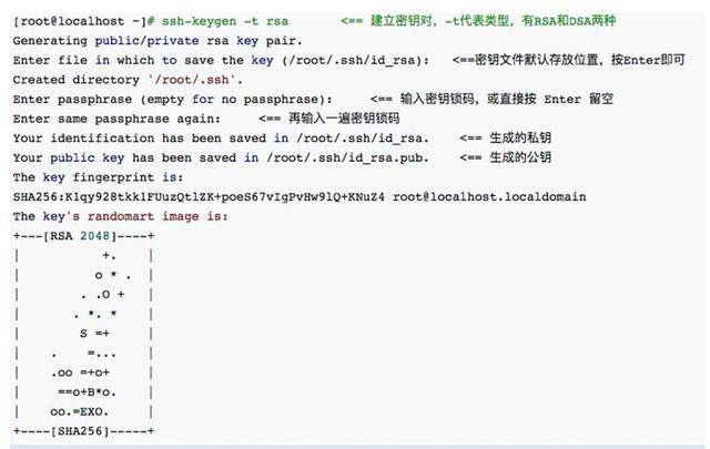 Linux 之啥是 ssh？