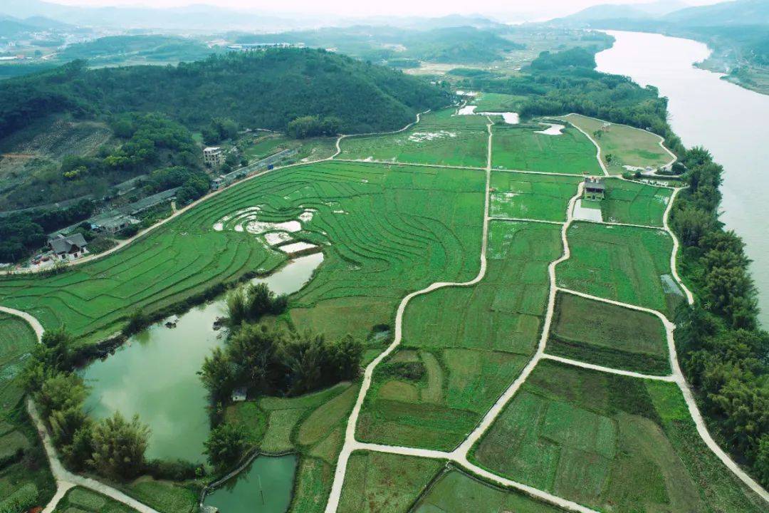 南宁市青秀区：润物无声易风俗