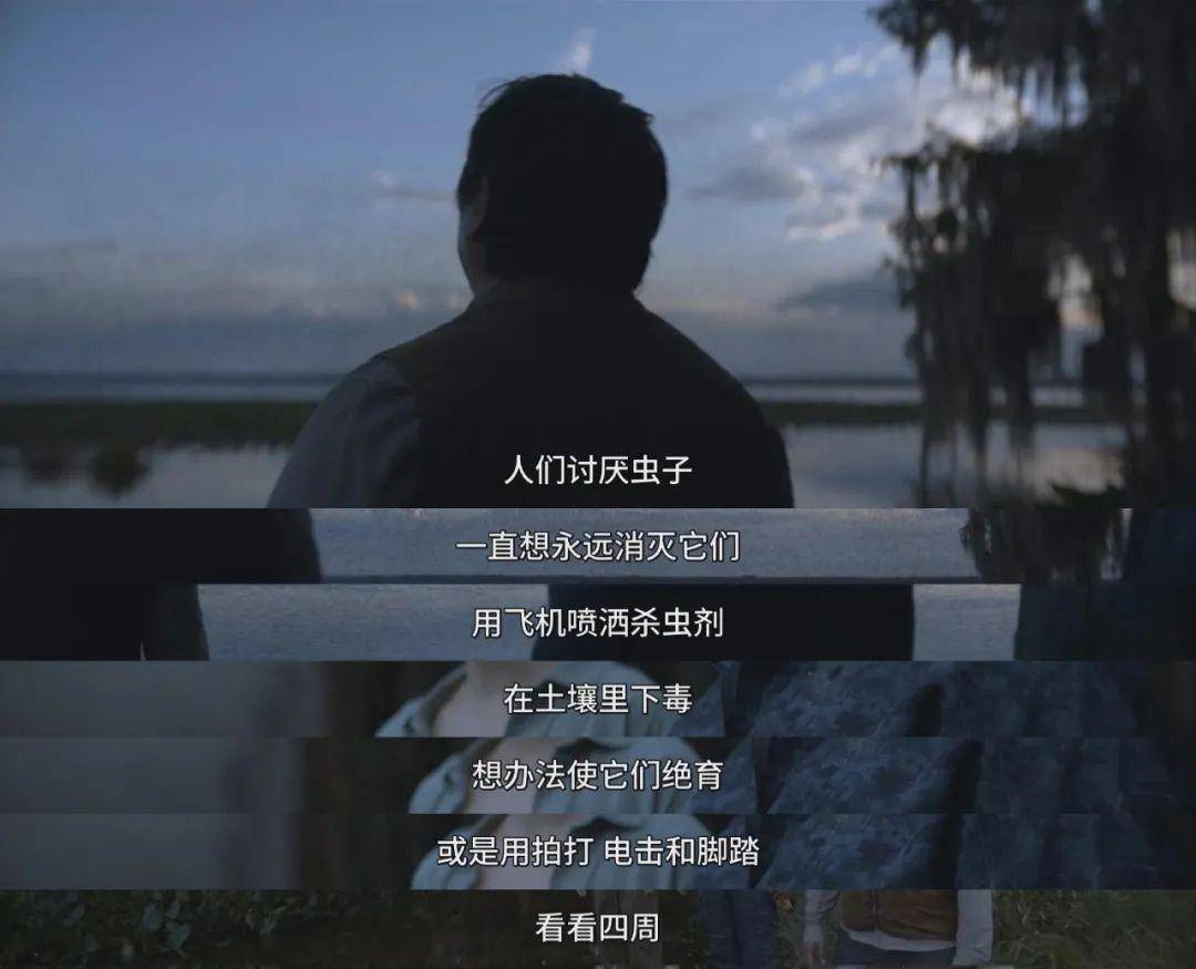 9.3神作毁了！网友齐刷1星，但抱歉，这次我挺网飞！