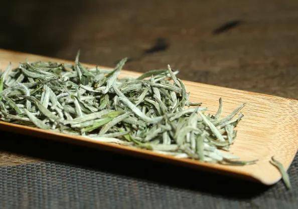 白茶基础知识