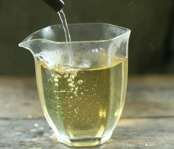 白茶基础知识