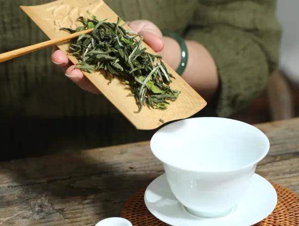 白茶基础知识
