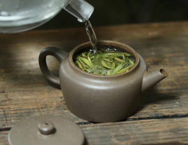 白茶基础知识