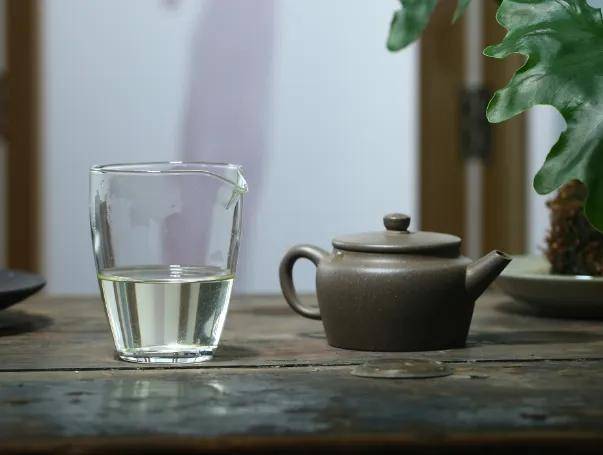 白茶基础知识