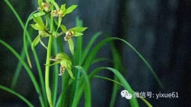 罗盘基础知识详解（收藏）