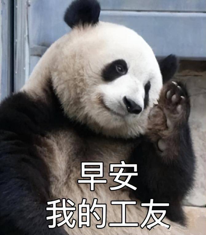 全网叫绝！国宝级销冠卖时装，日销5000万件