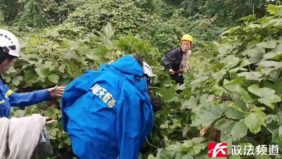 奇迹！湖南88岁老人上山砍柴走失，5天后在草丛被找到时……