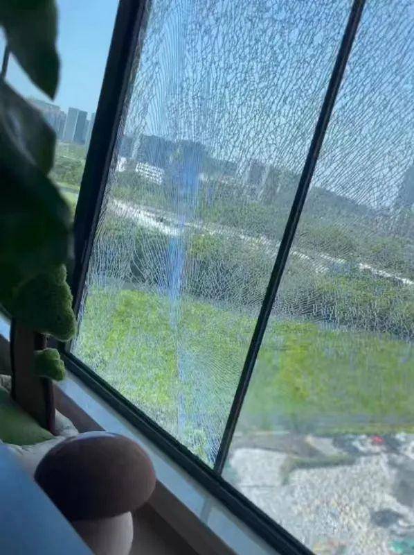杭州业主家住11楼，突然听到一声巨响！近两月这类维修暴增，“平均一天一块，有点惊人”