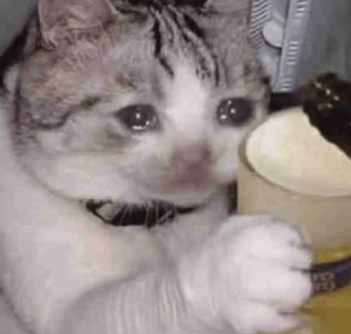 “不亚于春节回家”！凌晨5点，深圳有人已经堵在路上……