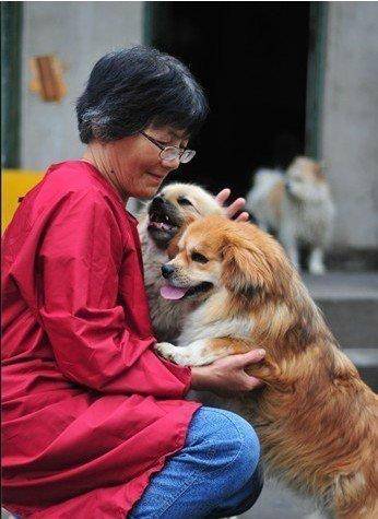 合肥卖房救助流浪狗的魏阿姨离世,病中仍然惦记着基地的600只流浪狗,工人:不敢相信世上还有这样执着的人