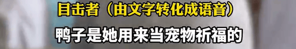 养了四年的宠物鸭被汽车碾死,老太太当街包鸭痛哭,目击者:她老伴重病,鸭子是用来祈福的